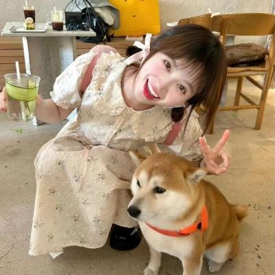 对我青春的呼唤